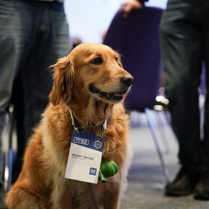 RIPE92-08080