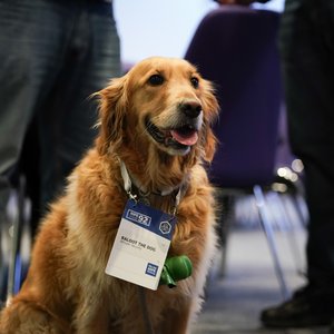 RIPE 92 event picture