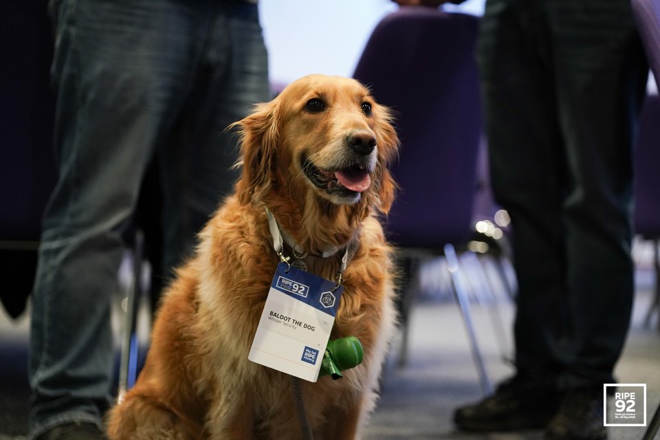 RIPE 92 event picture